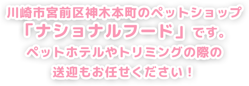 川崎市宮前区神木本町のペットショップ「ナショナルフード」です。ペットホテルやトリミングの際の送迎もお任せください！